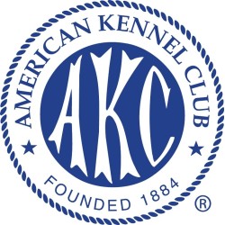 American Kennel Club Chaleco Arnes