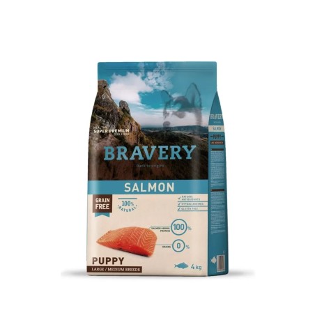 Bravery Gato Adulto Salmón 2KG